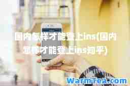 国内怎样才能登上ins(国内怎样才能登上ins知乎)