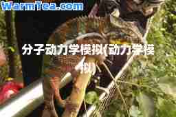 分子动力学模拟(动力学模拟)
