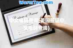 中文电码查询(美国签证中文电码查询)