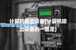 计算机输出设备(计算机输出设备的一组是)