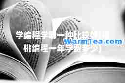 学编程学哪一种比较好(核桃编程一年学费多少)