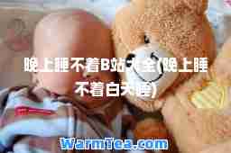 晚上睡不着B站大全(晚上睡不着白天睡)