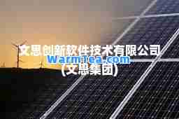 文思创新软件技术有限公司(文思集团)