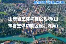 山东省主体功能区规划(山东省主体功能区规划方案)