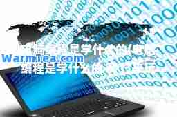 电脑编程是学什么的(电脑编程是学什么的 啊 过来玩西嘎一狗)