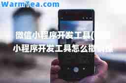 微信小程序开发工具(微信小程序开发工具怎么撤销操作)