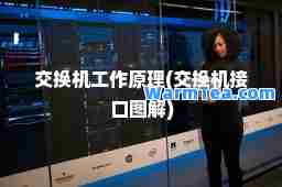 交换机工作原理(交换机接口图解)