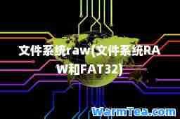 文件系统raw(文件系统RAW和FAT32)