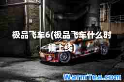 飞车6(飞车什么时候上线)