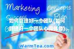 如何管理好一个团队(如何管理好一个团队心得体会)