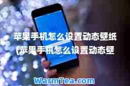 苹果手机怎么设置动态壁纸(苹果手机怎么设置动态壁纸8p)