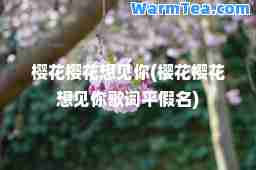 樱花樱花想见你(樱花樱花想见你歌词平假名)