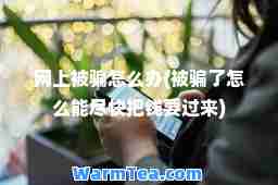 网上被骗怎么办(被骗了怎么能尽快把钱要过来)