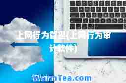 上网行为管理(上网行为审计软件)