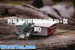 树莓派3(树莓派3b和3b+区别)