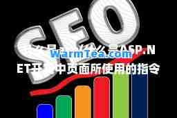 什么是asp(什么是ASP.NET开发中页面所使用的指令)