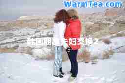 韩国朋友夫妇交换2