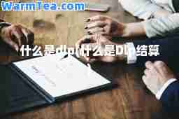 什么是dlp(什么是Dlp结算)