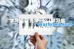 学习编程先学什么(学习编程先学什么)