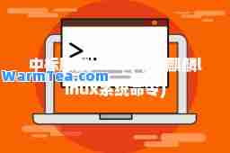 中标麒麟linux(中标麒麟linux系统令)