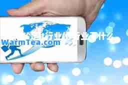什么是it行业(it行业干什么)