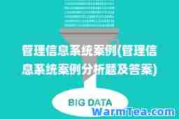 管理信息系统案例(管理信息系统案例分析题及答案)