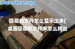 隐藏的文件怎么显示出来(桌面隐藏的文件夹怎么找出来)