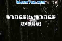 我飞刀玩得贼6(我飞刀玩得贼6破解版)