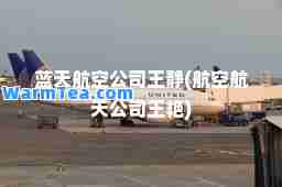 蓝天航空公司王静(航空航天公司王艳)