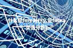 什么是fmea(什么是fmea失效分析)