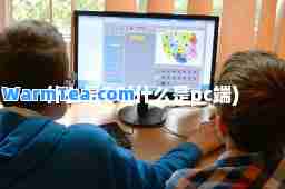 什么是PC(什么是pc端)