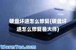 硬盘坏道怎么修复(硬盘坏道怎么修复鲁)