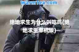绝地求生为什么叫吃鸡(绝地求生单机版)