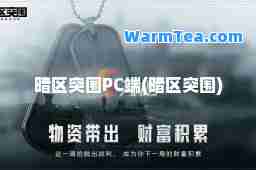 暗区突围PC端(暗区突围)