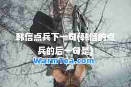 韩信点下一句(韩信的点的后一句是)