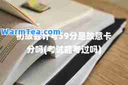 初级会计考59分是故意卡分吗(考试能考过吗)
