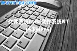 文件系统ntfs(文件系统NTFS和REFS)