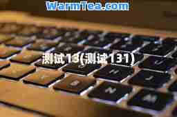 测试13(测试131)
