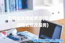 毕业论文格式修改(毕业论文格式修改服务)