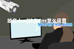 域名dns(域名dns怎么设置)