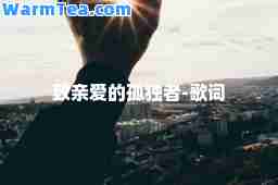 致亲爱的孤独者-歌词