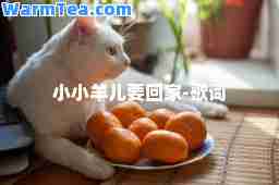 小小羊儿要回家-歌词
