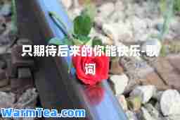只期待后来的你能快乐-歌词