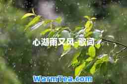 心湖雨又风-歌词