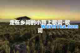走在乡间的小路上歌词-歌词