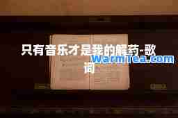 只有音乐才是我的解药-歌词
