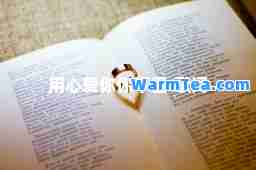 用心爱你你不懂-歌词