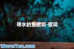 寻水的鱼歌词-歌词 寻水的鱼歌词-歌词