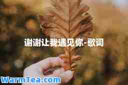 谢谢让我遇见你-歌词