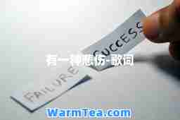 有一种悲伤-歌词